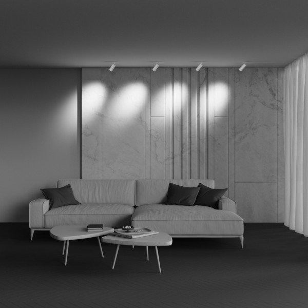 Трековый светильник Technical TR212-4-12WTW-Z-DSZ-W