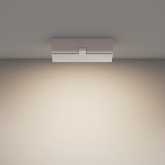 Потолочный светильник Technical C133CL-12W4K-W