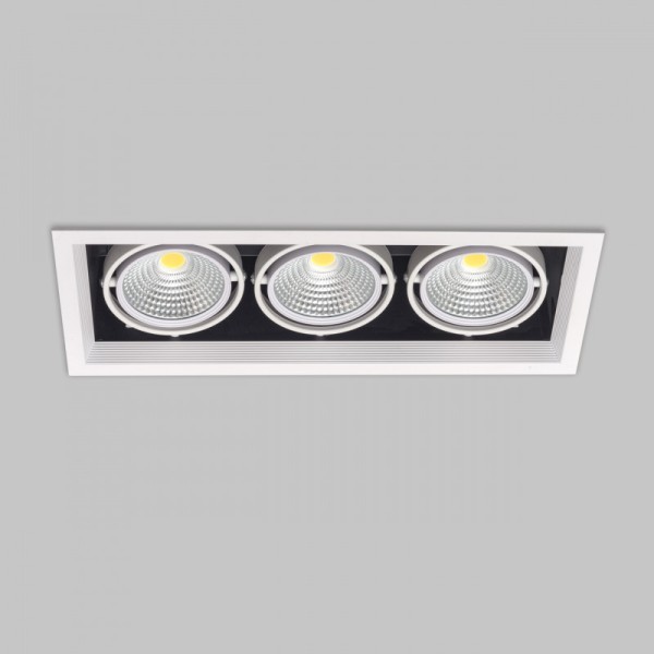 Светильник карданный LED 3*20W встраиваемый, WH IL.0006.2315