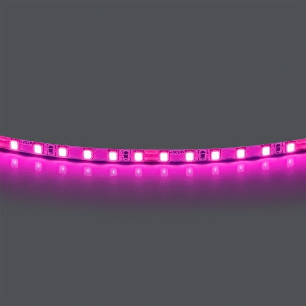 420512 Лента LIGHTSTAR LED 24V 12W 120leds/M 1600 LM/M розовый IP20 1шт = 5м