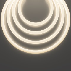 Гибкий неон Led Strip 20307