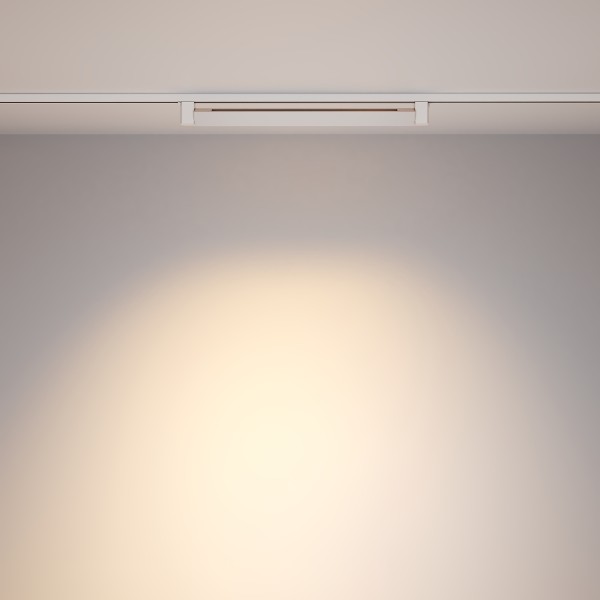 Трековый светильник Technical TR010-1-20W3K-M-W