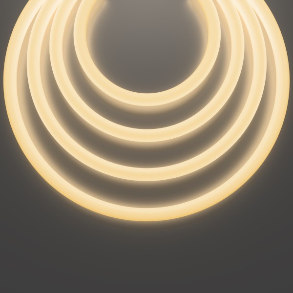 Гибкий неон Led Strip 20301