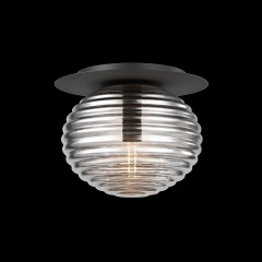 Потолочный светильник Maytoni MOD268CL-01B