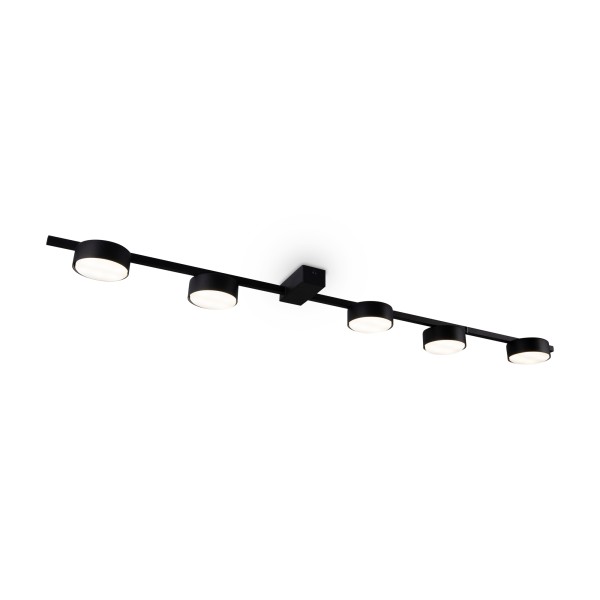 Потолочный светильник Freya FR5363CL-05B