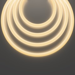 Гибкий неон Led Strip 20306