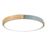 SLE201372-01 Светильник потолочный Серый, Светлое дерево/Белый LED 1*40W 3000K/4000K/6000K DELIA