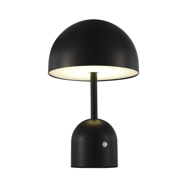 SLE1806-404-01 Прикроватная лампа Черный/Черный LED 1*3W 3000-6000K ECLAT