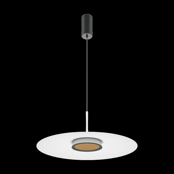 Подвесной светильник Maytoni MOD041PL-L15W3K1