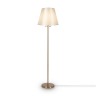 Напольный светильник (торшер) Freya FR1006FL-01G