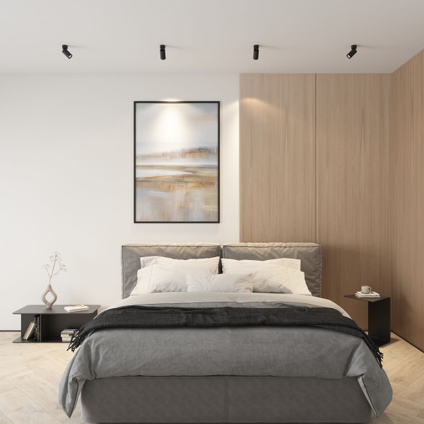 DK2029-BK Светильник накладной IP 20, 50 Вт, GU10, черный, алюминий