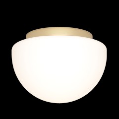 Потолочный светильник Maytoni MOD270CL-01G