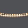 420504 Лента LIGHTSTAR LED 24V 12W 120leds/M 1600LM/M 4000K IP20 1шт = 5м