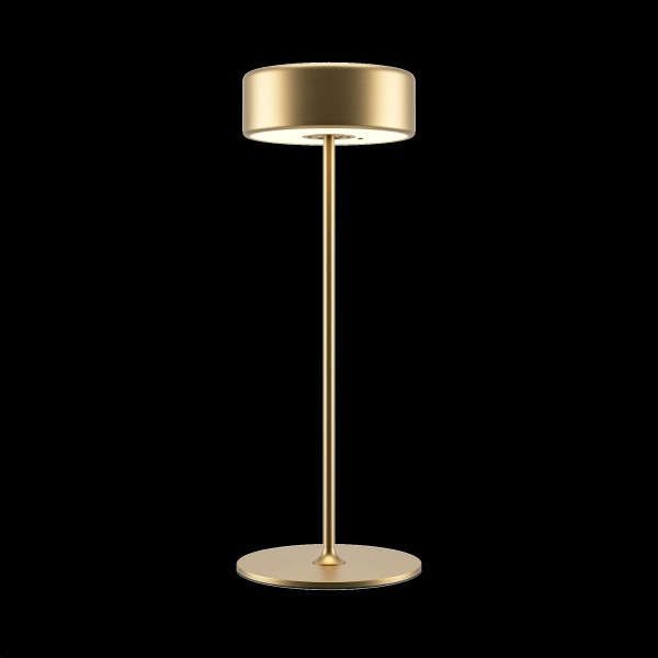 Аккумуляторный светильник Maytoni MOD229TL-L3G3K2