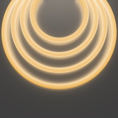 Гибкий неон Led Strip 20300