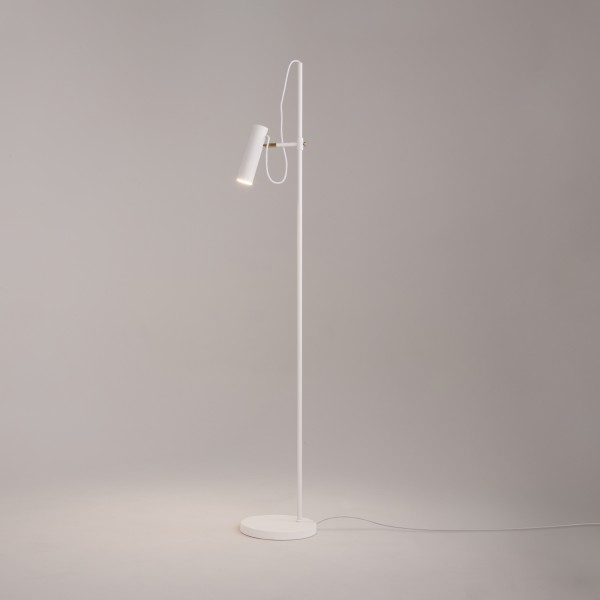 Напольный светильник (торшер) Maytoni MOD129FL-01W