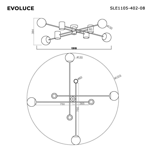 SLE1105-402-08 Светильник потолочный Черный/Белый GU10+E27 4+4*5+60W RAITO