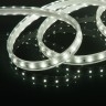 Светодиодная лента 220 В 8 Вт/м 60 Led/м 2835 IP65, холодный белый 6500K, 50 м Лента светодиодная 220V 8W 60Led 2835 IP65 холодный белый, 50 м