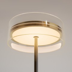 Напольный светильник (торшер) Maytoni MOD348FL-L24BBS3K